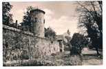 D1996    HILDBURGHAUSEN : An Der Alten Stadtmauer - Hildburghausen