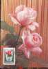 FLEURS;ROSES 1980,CM, MAXICARD MAXIMUM CARD,HUNGARY.(D) - Roses