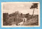 CPSM - Muzillac - La Colline Rocheuse Dominant Pen-Mur- 56-Morbihan - Muzillac