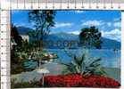 BRISSAGO  -  Lago Maggiore - Brissago