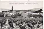 CAPENDU DU BON VIN (AUDE) VUE GENERALE COTE NORD (VIGNES AU PREMIER PLAN) - Capendu