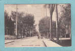 OTTAWA  -  METCALFE  STREET  -  1905  -  BELLE CARTE ANIMEE  - - Ottawa