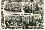 CPSM SERGINES YONNE Le Carnaval Divers Aspects Chars Chaque Année Le Mercredi Des Cendres 1962 - Sergines