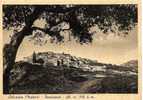 SALANDRA  ( Matera )  -  Panorama  -  Ali. M. 598 S.m. - Matera