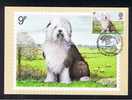 RB 682 - GB 1979 - PHQ Maximum Cards Set Of 4 First Day Issue - Dogs - Animal Theme - PHQ-Cards