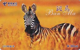 Télécarte Chine - Animal - ZEBRE - ZEBRA Phonecard China Telecom - Tier Telefonkarte - 31 - Chine