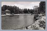 Sa Waldbad Brunn Bei Auerbach 1959-06-04 Foto - Auerbach (Vogtland)