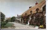 IOW - CALBOURNE - WINKLE STREET - TINTED RP  Iow128 - Other & Unclassified