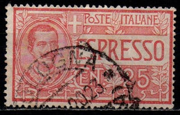 # 1903 Italia Regno Espresso Tipo Floreale 25 Cent. Usato - Correo Urgente