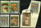 ● ROMANIA 1958 - FUNGHI - N. 1580 . .  Usati - Cat. ? € - Lotto N. 992 /94 /96 - Usado