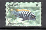 Malawi Year 1984 No 439 Used - Malawi (1964-...)