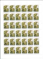 FC5005 - RARE - URSS 1983 - La Superbe FEUILLE Entière Neuve** De 36 TIMBRES N° 5005 (YT) - Fleurs D'URSS - Belle Valeur - Full Sheets