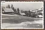 AUX PACCOTS SUR CHATEL SAINT DENIS   - TB - Châtel-Saint-Denis