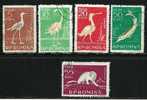 ● ROMANIA 1957 - UCCELLI - N. 1552 . . . Usati - Cat. ? € - Lotto N. 1011 - Used Stamps