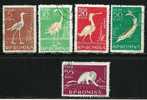 ● ROMANIA 1957 - UCCELLI - N. 1552 . . . Usati - Cat. ? € - Lotto N. 1011 - Gebraucht