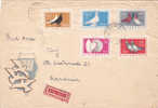 BIRD;PIGEON 1958 Special Cover Sent To Romania 5 Stamps Pigeon Hungary. - Duiven En Duifachtigen
