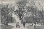 Rppc - CANADA - NEW BRUNSWICK - ST JOHN - KING SQUARE - LOOKING WEST  - LOCALS - CIRCA 1910 - St. John