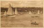 Royaume Uni - Uk  -ref A287- Isle Of Wight - Cowes Harbour   -  Postcard Good Condition - - Cowes