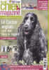 Mon Chien Magazine 25 Février 2011 Le Cocker Anglais - Animali