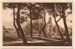 13 - Saint-Rémy-de-Provence - Les Antiques, Monuments Romains - Edit. J. George N° 499 (non Circulée) - Saint-Remy-de-Provence