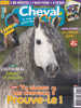 Cheval Star 234 Mars 2011 - Animaux