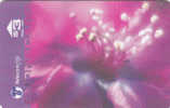 Fiji, FIJ-110, SeriesTropical Colours, .Pink & Purple, Flower , 22FJB, 2 Scans. - Fiji