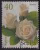 2007 Serbia - White Rose - Roses