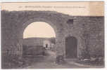 17714 MORTAGNE SUR SEVRE  Ruines De L'Abbaye De Saint Martin . 1451 Vasselier - Mortagne Sur Sevre