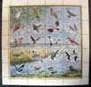 GAMBIE: Feuillet OISEAUX 20 Valeurs N°899/918 Formant Un Diorama - Autres & Non Classés