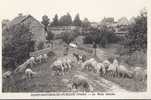 CP 89 SAINT SAUVEUR EN PUISAYE Le Petit Moulin à Eau ( Habitations ) Troupeau De Moutons Chèvre - Saint Sauveur En Puisaye