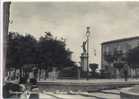 FORENZA (Potenza) - Piazza Regina Margherita - 1958 - Potenza