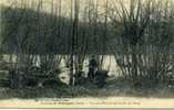 61 - Environs De PUTANGES  - Vue Sous Bois Sur Les Bords De L'Orne, Pêcheur - Putanges