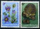 1970 Lussemburgo, Protezione Natura  , Serie Completa Nuova (**) - Unused Stamps