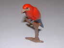 Figurine - Perroquet Rouge Orange Bleu - Hauteur 6,5 Cm - Vogels