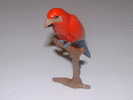 Figurine - Perroquet Rouge Orange Bleu - Hauteur 6,5 Cm - Oiseaux