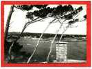 * CARRY LE ROUET-Panorama Sur Le Port-1949(3 Timbres) - Carry-le-Rouet