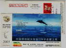 China 2003 Jining Mobile Advertising Pre-stamped Card Jumping Dolphin - Dolphins