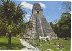 Templo Gran Jaguar - Tikal-Peten - Guatemala