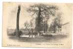 Yerres (91) : La Mare Devant La Ferme De La Grange Env 1902. - Yerres