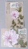 Set Of 2 Nice Cachet Maxi Cards(C) 2011 Taiwan ATM Frama Stamp-Ancient Chinese Painting- Peony Flower - Automaatzegels [ATM]