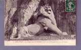 90 - Belfort - Le Lion, Oeuvre De Bartholdi - Editeur: Geleries Modernes N°1 - Belfort – Le Lion