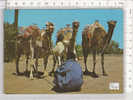 PO5917A# MAROCCO - CAMMELLI  VG Agadir - Agadir