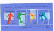 FINLANDIA (FINLAND) -  BF - 1991  SPORT INVERNALI  - NUOVO (MINT)** - Hojas Bloque