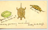 Puzzle Card Turtle 2 Watermelons Plus One Turtle Happy Birthday Hand Painted Undivided Back - Altre Illustrazioni
