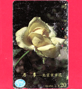 CINA - Scheda Telefonica - 1994 - Chinese Rose - Flower Of Beijing City - TELECOMMUNICATIONS - Tamura - - Chine
