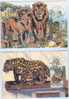 Israel MC - 1992, Michel/Philex No. : MCB.4 Zoo Animals, - MNH - *** - Maximum Card - Cartoline Maximum