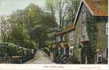 CHESHIRE - NETHER ALDERLEY VILLAGE Pre-WWI  Ch204 - Andere & Zonder Classificatie