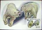 1987 RUSSIA MAXIMUM CARD 1 WHITE POLAR BEAR WWF BEARS - Ours