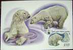 1987 RUSSIA MAXIMUM CARD 4 WHITE POLAR BEAR WWF BEARS - Orsi