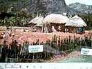 NIGERIA VILLAGE SCENE VB1981 CZ767 - Nigeria